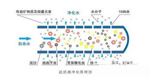 喝(hē)什麽水才健康 淨水器的技(jì )術分(fēn)析